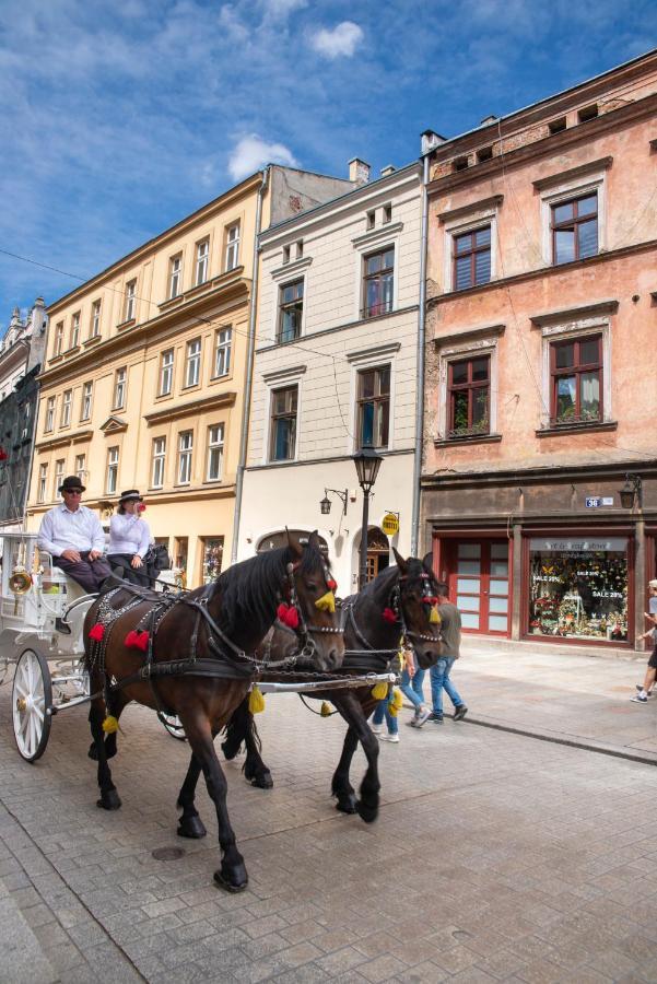 Let'S Rock Party Hostel! Age Limit From 18 Until 40! Krasków Exterior foto